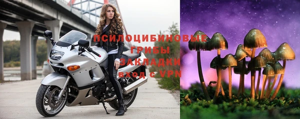 тгк Богородск