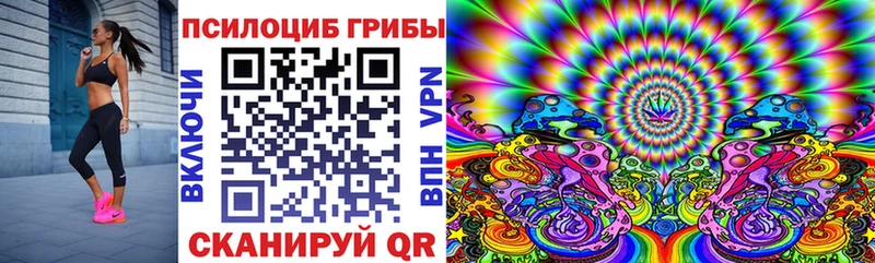 Галлюциногенные грибы GOLDEN TEACHER  Купить где  Ардон 