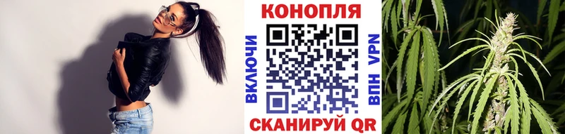 Купить где  Ардон  Бошки марихуана план 